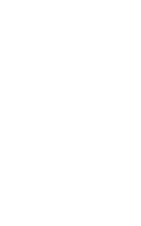 Empresa B